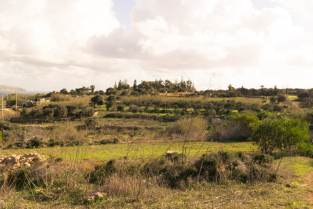Rural landscape in the province of Cadiz, Andalusia, Spainの写真素材