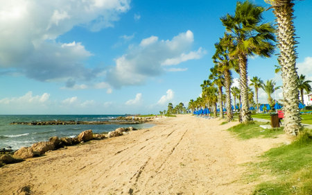 Park area and beach in Paphos on Cyprus Island. Exotic climate and travel concept.の写真素材