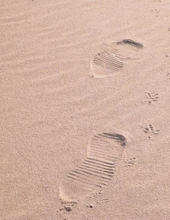 Travelers footstep on beach or desert. Natural background.の写真素材