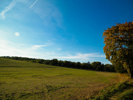 End of summer - autumn trees and fields. copy space on blue sky.の写真素材