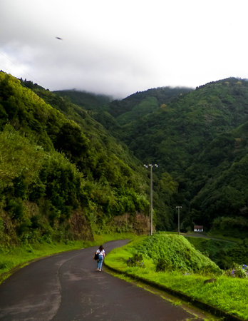 Woman traveler walk over wild forest on Sao Miguel Island. Exotic nature of Azores.の写真素材