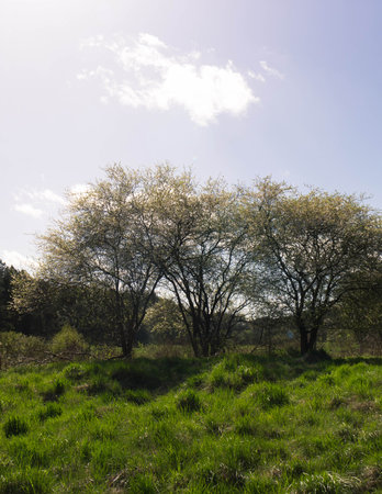 Landscape of beautiful Kashubia. Beauty of nature.の写真素材