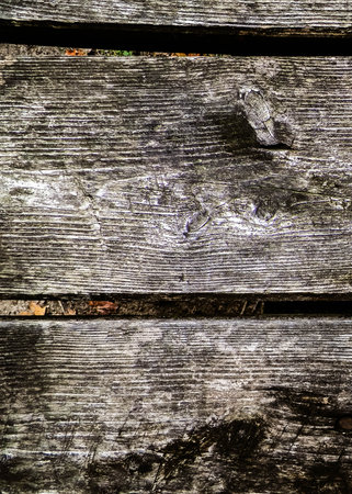 Wooden plank as nature background. Copy space.の写真素材