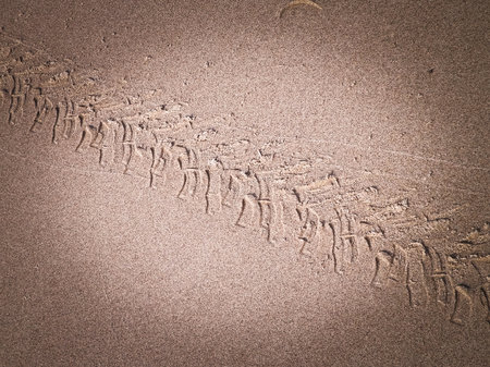 Tire track on sand of desert or beach. Natural background. Offroad and traveling concept.の写真素材