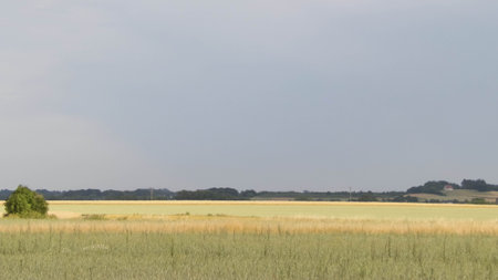 A field in Kashubia. Agriculture concept. Northern Poland.の写真素材