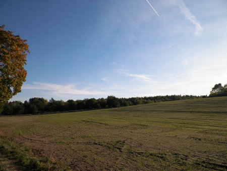 End of summer - autumn trees and fields. copy space on blue sky. Mechelinki, Poland.の写真素材