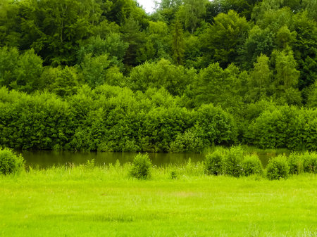 Little pond in front of forest. Beauty of summer nature in Kashubia region. Northern Poland.の写真素材