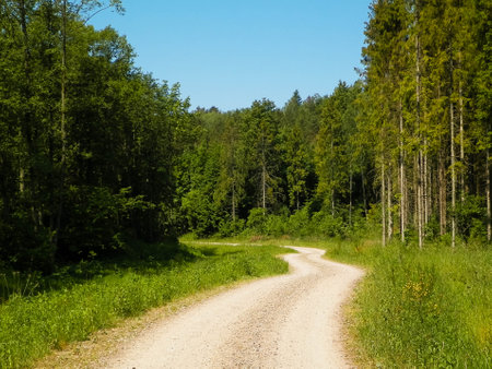 Road over forest in Kashubia. Poland. Beautiful nature of northern Poland.の写真素材
