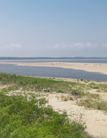 Baltic Sea Coast on Sobieszewska Island. The estuary of the Vistula River. Nature of northern Poland.の写真素材