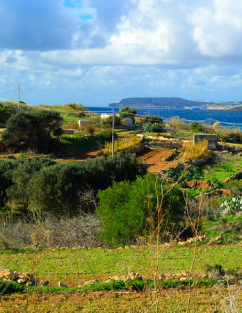 Rural landscape on Malta. Coastal area on Marfa Peninsula.の写真素材