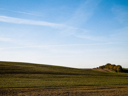 Green field on a background of blue sky. Copy space on blue sky. Sunny autumn day. Nature of Poland.の写真素材