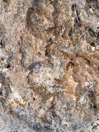 Coastal rocks as a natural background. Copy space.の写真素材