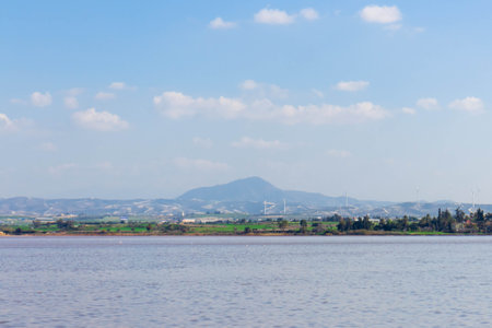 Lake Larnaca in Cyprus. Salt lake near city of Larnaca. Natural habitat of flamingo birds.の写真素材