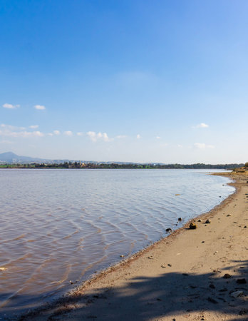 Lake Larnaca ob Cyprus. Salt lake near city of Larnaca. Natural habitat of flamingo birds.の写真素材