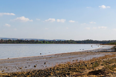 Coast of salt lake Larnaca. Cyprus Island. Nature of cyprus.の写真素材