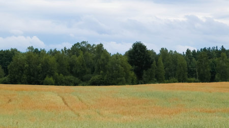 Clouds over field in Kashubia. Incoming rain.の写真素材