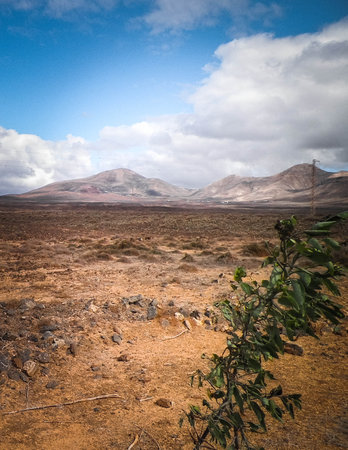 Desert and mountains is a typical scenery of the island of Lanzarote. Canary Islands archipelago.の写真素材