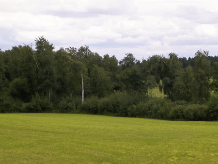 Fields, hills and meadows. Typical labndscape of Kashubia in Poland. Beauty of nature.の写真素材