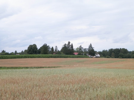 Clouds over field in Kashubia. Incoming rain.の写真素材