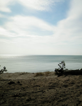 Baltic sea coast from Hel Peninsula - beach close to the Hel city. Beautiful nature of Baltic sea and Gdansk bay. Travel and nature concept.の写真素材
