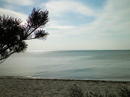 Baltic sea coast from Hel Peninsula - beach close to the Hel city. Beautiful nature of Baltic sea and Gdansk bay. Travel and nature concept.の写真素材