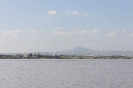 Lake Larnaca on Cyprus. Salt lake near city of Larnaca. Natural habitat of flamingo birds.の写真素材