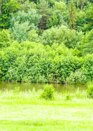 Little pond in front of forest. Beauty of summer nature in Kashubia region. Northern Poland.の写真素材