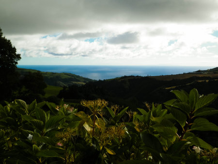 Typical landscape of Azores. Natural green fields hills and sea in a background. Beauty of nature concept.の写真素材