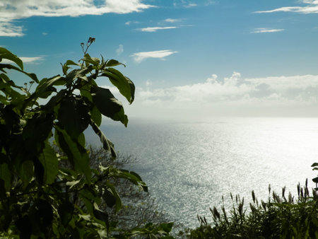 Atlantic sea horizon from Sao Miguel exotic island of Azores.の写真素材