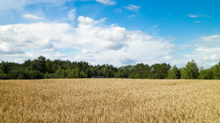 Cloudy sky over field in Kashubia. Incoming rain.の写真素材