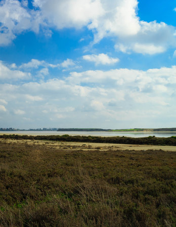 Rural area of Cyprus and Larnaca Lake in a background. Drought in Cyprus.の写真素材