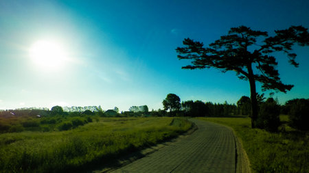 Offroad in Kashubian village. Kashubia is part of northern Poland, known of it's beautiful nature. Coniferous tree and village road, summer season, beautiful Polish environment.の写真素材