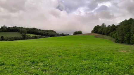 Green meadow in Bieszczady Mountains Poland. North Carpathian.の写真素材