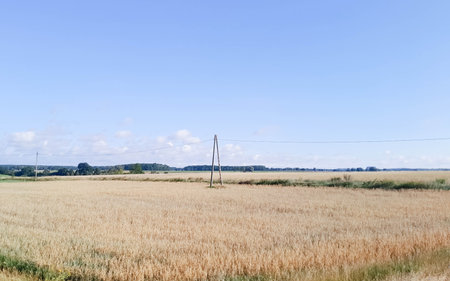 Kashubian field in late summer. Agriculture in northern Poland.の写真素材