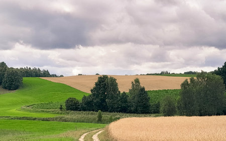 Dark clouds over fields in Kashubia. Rain is coming. Beautiful nature of northern Poland.の写真素材
