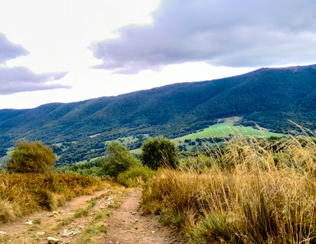 Beautiful view of Bieszczady mountains. Carpathians. Beauty of nature.