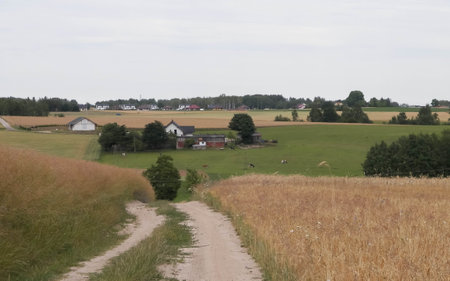 Road over fields in Kashubia. Poland. Touristic concept - travel and nature concept.の写真素材