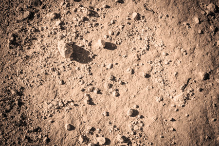 Desert ground as a natural background.の写真素材