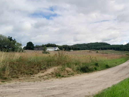 Dark clouds over meadow in Kashubia. Rainy weather coming. Beautiful nature of northern Poland.の写真素材