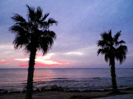 Sunset or sunrise over Mediterranean Sea. Palms and exotic nature.の写真素材