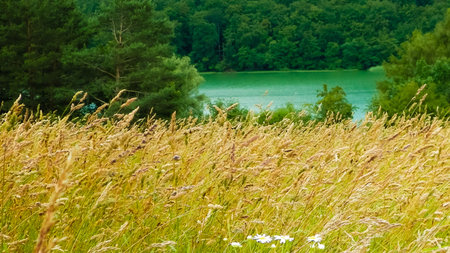 Field in Wiezyca and Ostrzyckie Lake in a backgraund. Beautiful nature of Kashubia.の写真素材