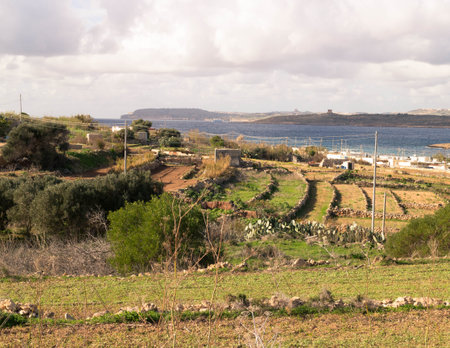 Rural landscape on Malta. Coastal area on Marfa Peninsula.の写真素材