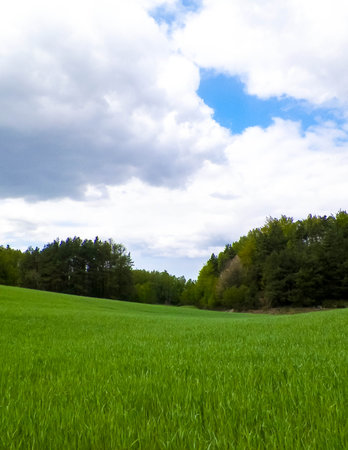 Green fields and hills in Wiezyca, Kashubian Region. Wiezyca is a touristic area in Polandの写真素材