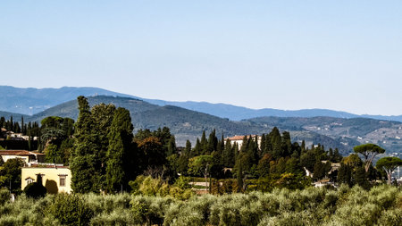 Landscape of countryside in Tuscany italy.の写真素材