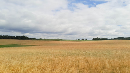 Dark clouds over field in Kashubia. Incoming storm. Amazing nature of northern Poland.