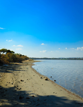 Lake Larnaca ob Cyprus. Salt lake near city of Larnaca. Natural habitat of flamingo birds.の写真素材