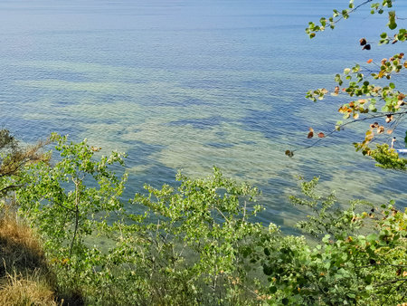 Seascape of Baltic Sea crystal water, seaweed and sea bottom. Copy space over the horizon.の写真素材