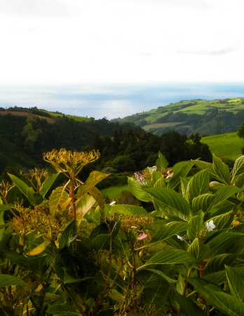 Typical landscape of Azores. Natural green fields hills and sea in a background. Beauty of nature concept.の写真素材