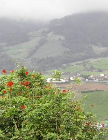 Beautiful nature of Azores. Small villages and deep natural green on Sao Miguel Island.の写真素材