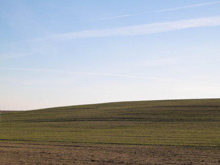 Green field on a background of blue sky. Copy space on blue sky. Sunny autumn day. Nature of Poland.